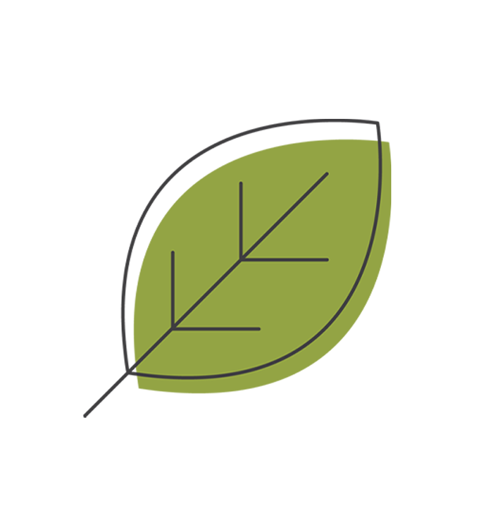 leaf motif